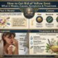 How to Get Rid of Yellow Snot 85x85